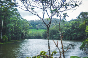 Devikulam Munnar