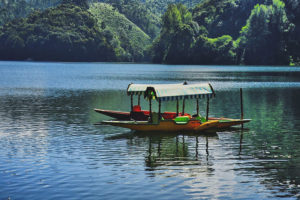 Kundala Munnar