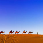 Bikaner Desert Camel Safari