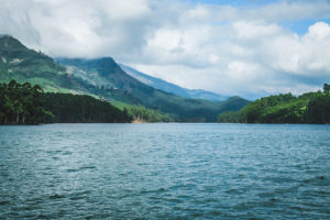 Mattupetty Munnar