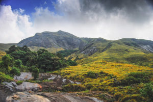 Rajamalai National Park Munnar