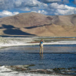 Tso Kar Lake Leh Ladakh