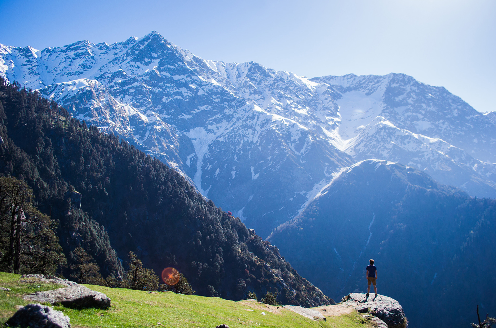 Monks, Monasteries, Momos & Mountains - in Dharamshala & Mcleodganj