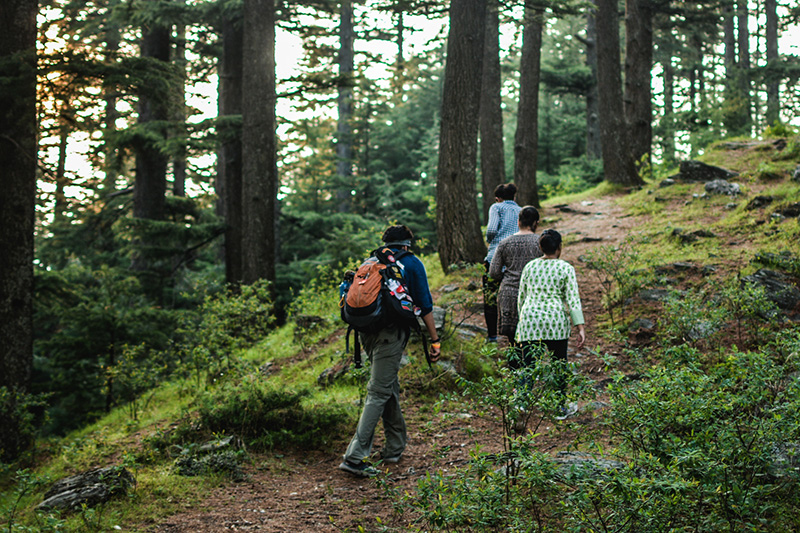 Hike- Old Manali to Solang Valley, Himachal Pradesh