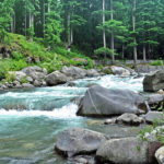 Kasol Riverside