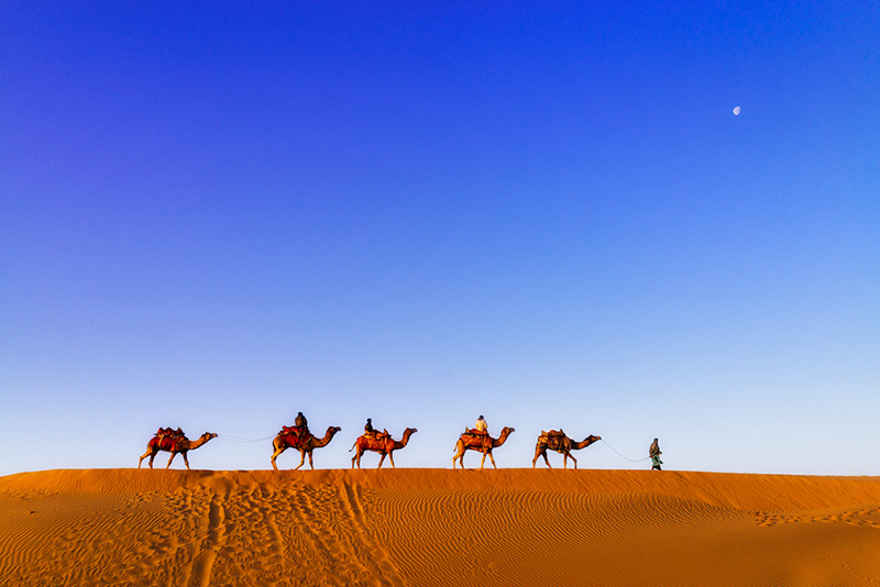 Bikaner Desert Camel Safari