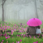 offbeat honeymoon