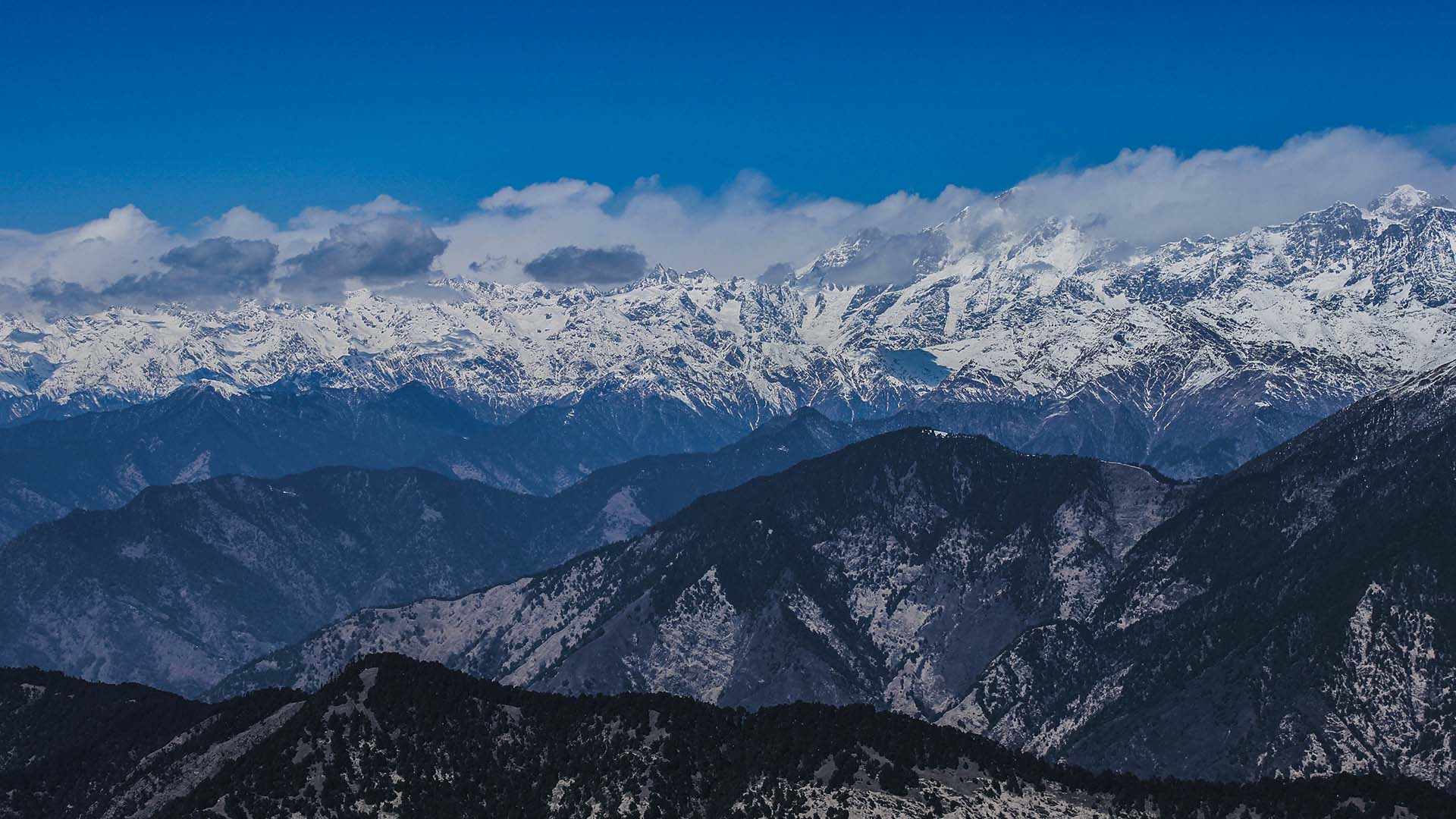 Why Chopta is the perfect summer getaway
