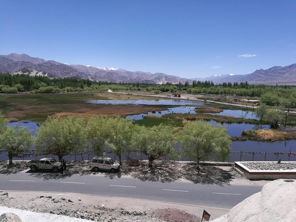 Shey monastery